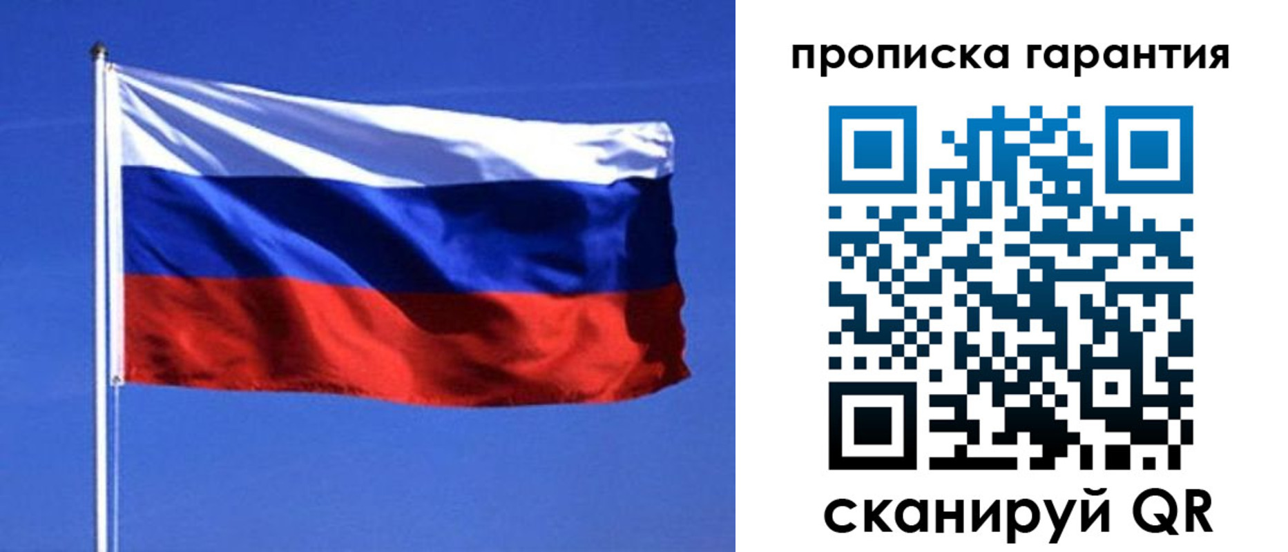 прописка для школы в Нелидово